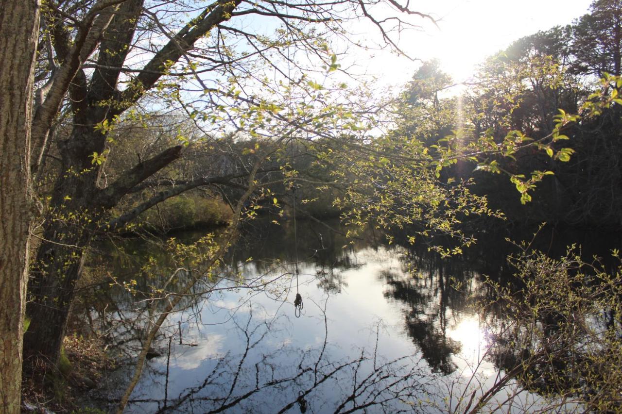 Herring Run Bourne Bagian luar foto