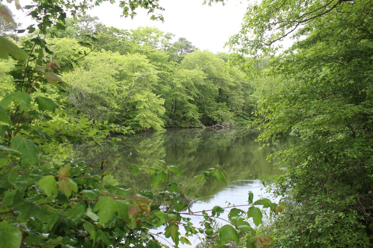 Herring Run Bourne Bagian luar foto
