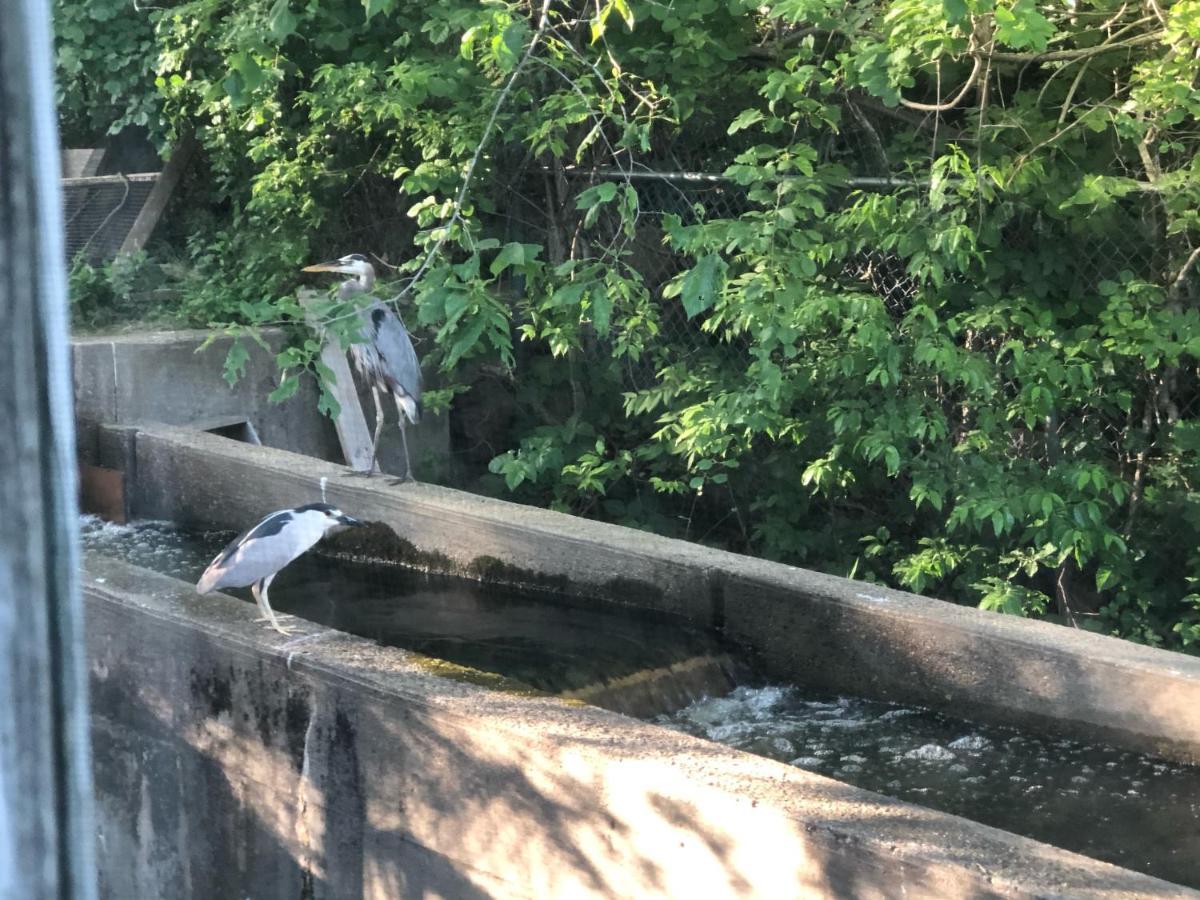 Herring Run Bourne Bagian luar foto