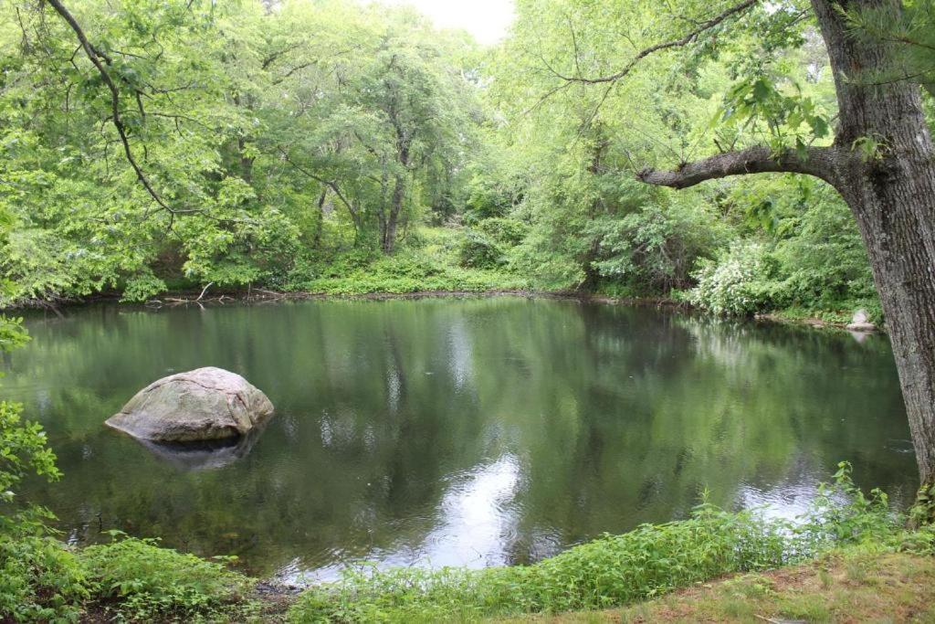 Herring Run Cabins And Inn Bourne Bagian luar foto
