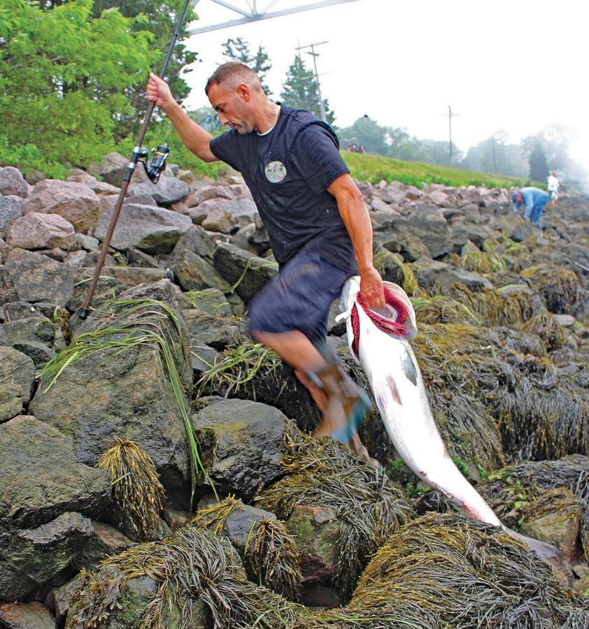 Herring Run Bourne Bagian luar foto