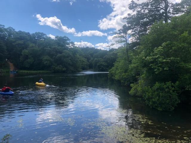 Herring Run Bourne Bagian luar foto