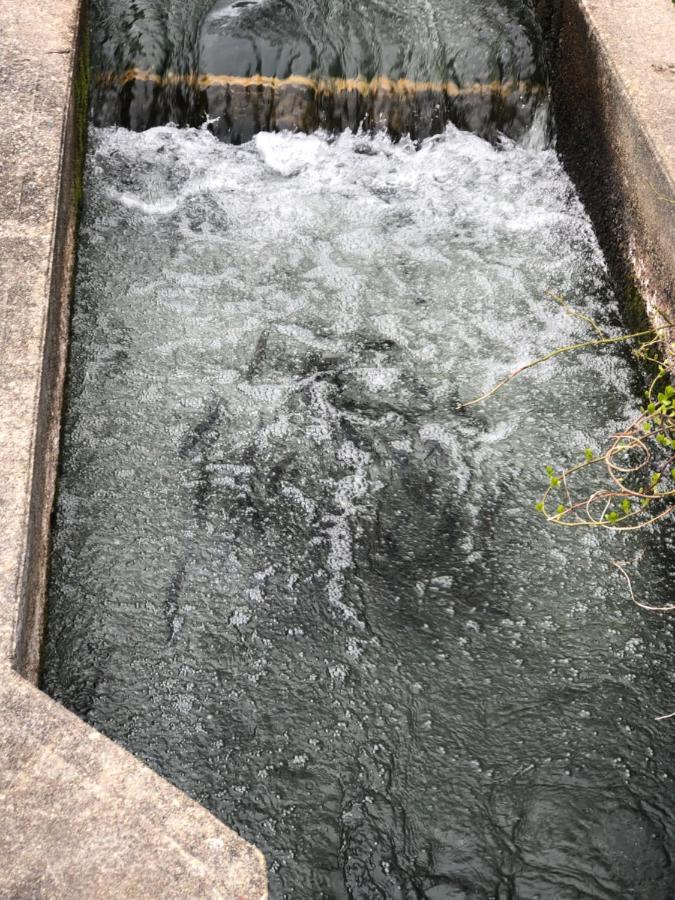 Herring Run Bourne Bagian luar foto